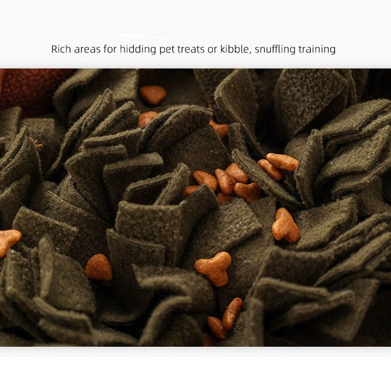 snuffle mat with dog food